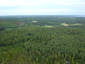 Pelto ja lato metsän keskellä?!