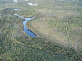 Hakkuuaukeita