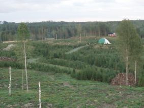 Tien vieressä