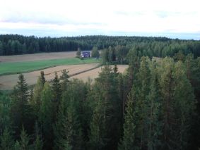 Laskeuduimme Viitapohjan tien
viereiselle pellolle.