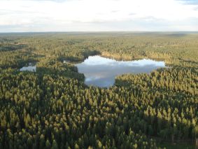 Metsää ja järviä on Teiskossa 
   riittämiin!