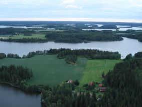 Salonsaari