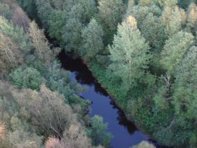 Tyrnävänjoki
