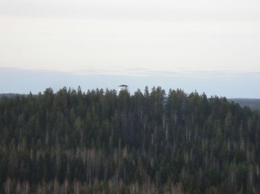 Haralanharjun 
näkötorni