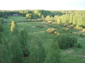 Laskeutumispaikka