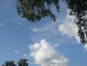 Pilottipallo