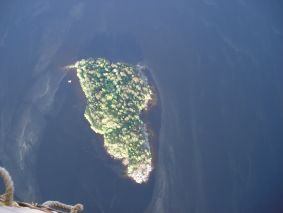 Saunasaari