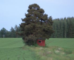 Puutalo