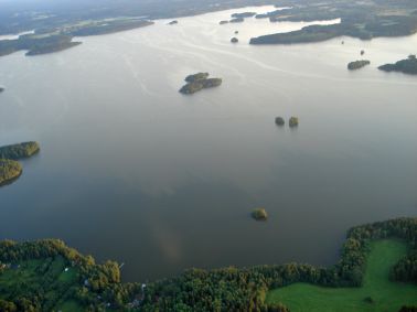 Palhonselkä