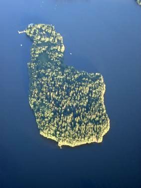 Viikinsaari