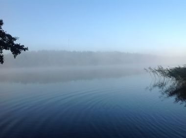 Sumua järvellä