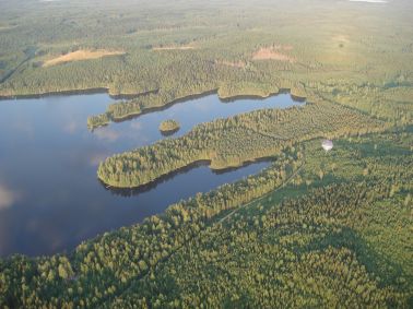 Joutsiniemi ja Paroninsaari
