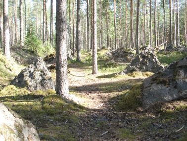 Panssarivaunueste